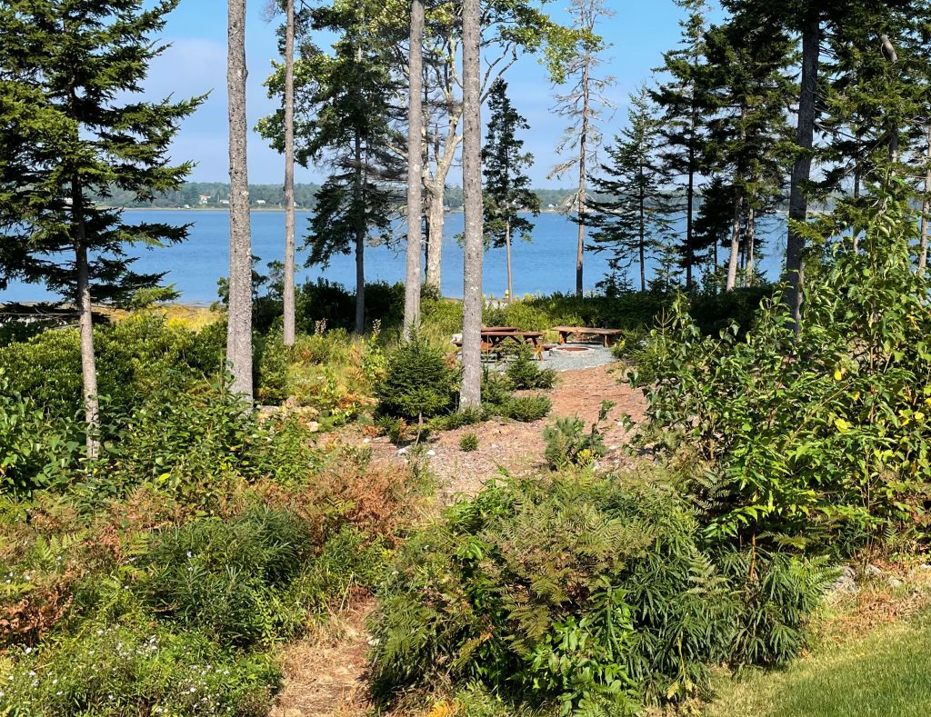 Sunset Haven by-the-Sea