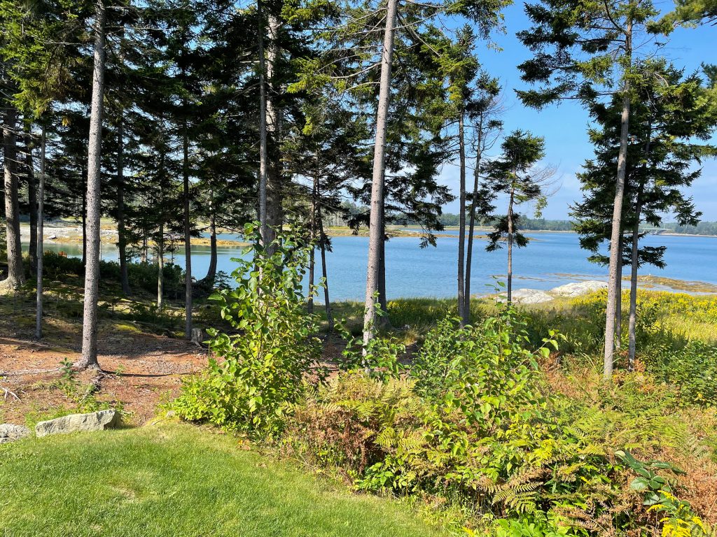Sunset Haven by-the-Sea