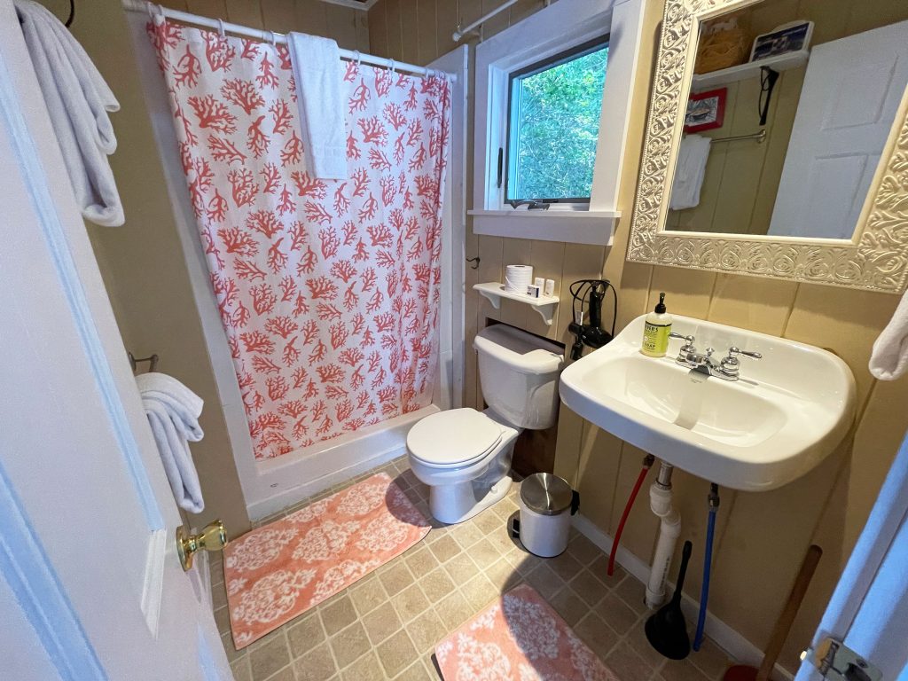 SK-bath1-1 Bathroom