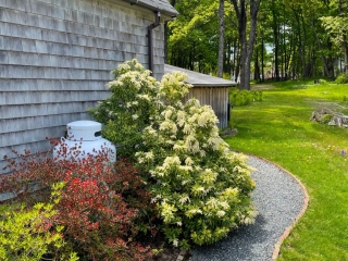 Shore Path Hideaway