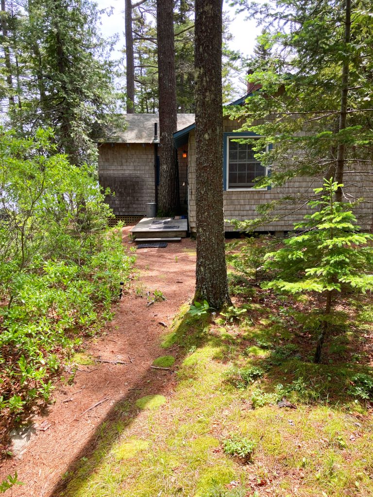 Cabin on the lake and in the woods
