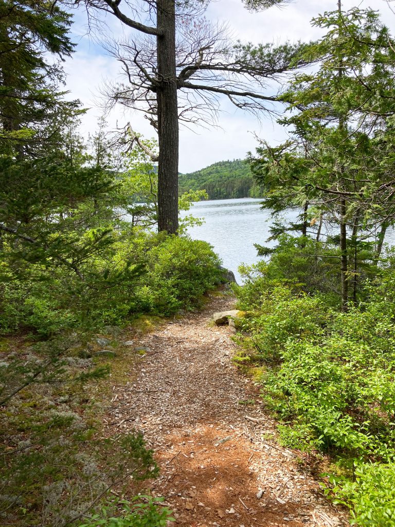 Path to lake