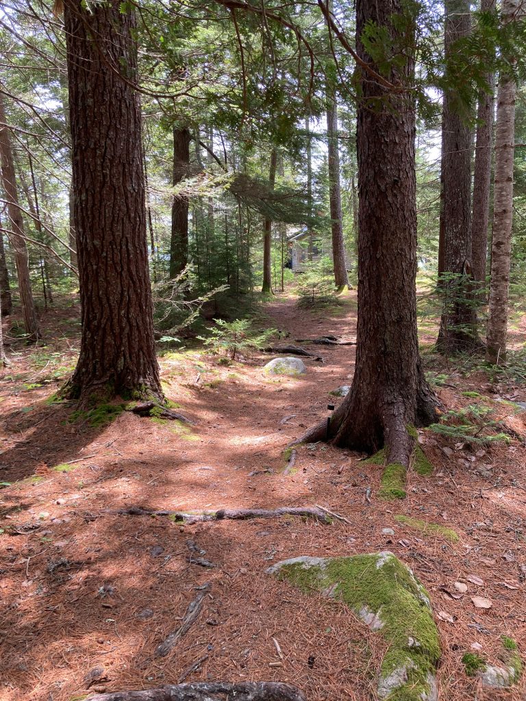 Path