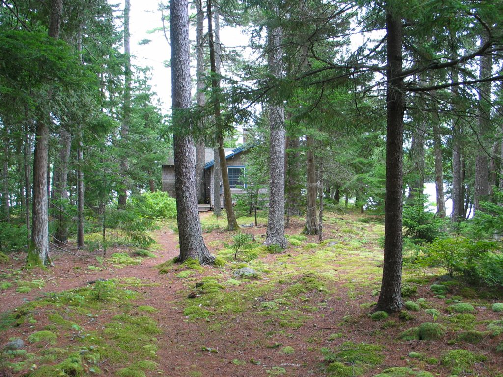 Sans Souci Camp — Woods