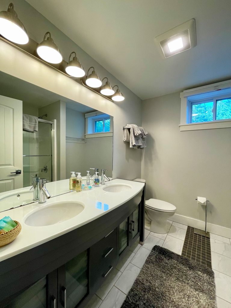 Lower level bathroom (shower and tub)