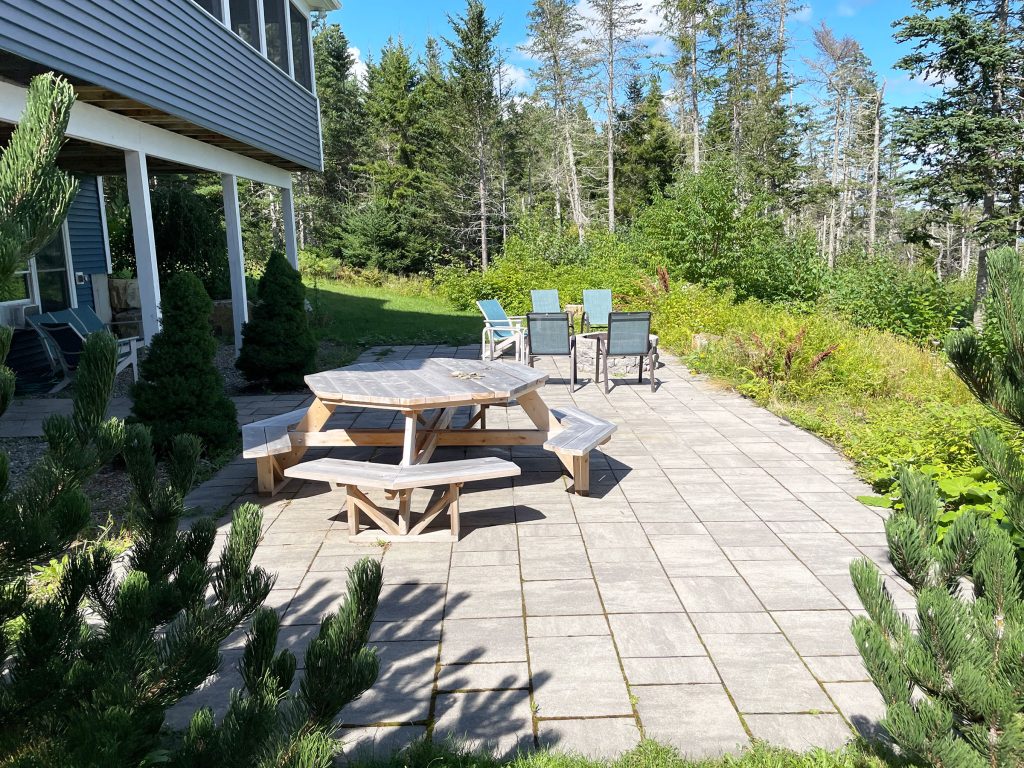 Patio and fire pit