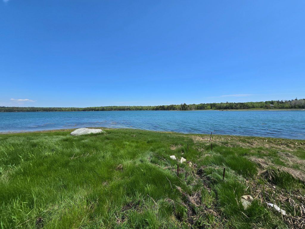 Shore view