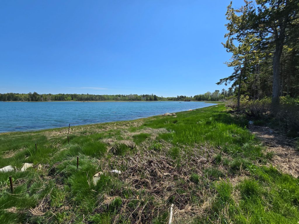 Shore view