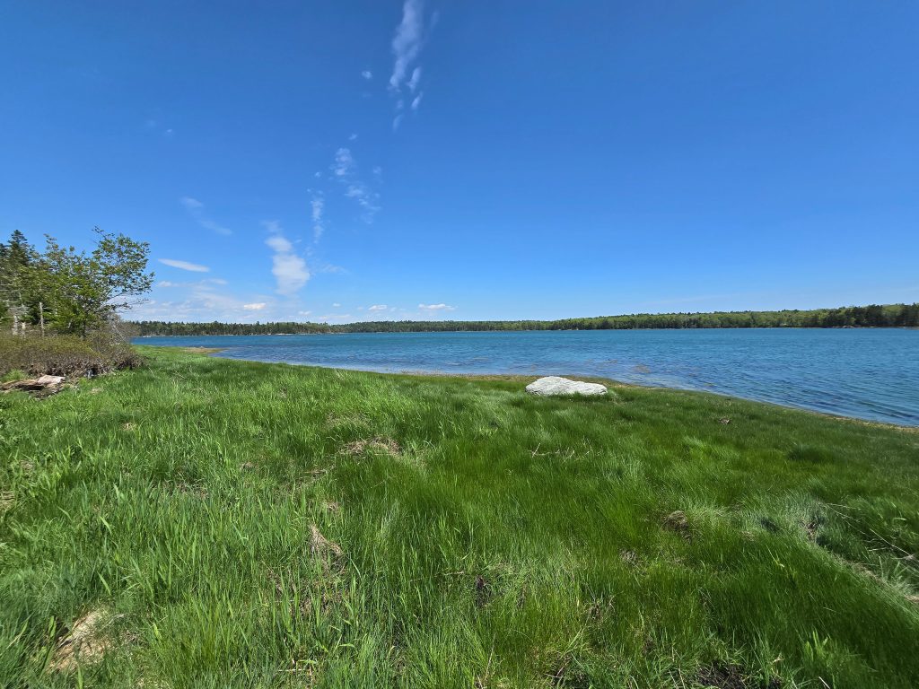 Shore view