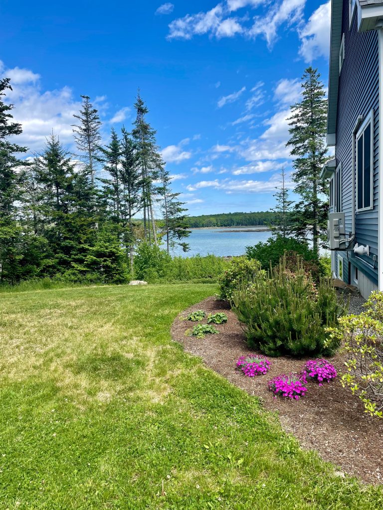 Side yard