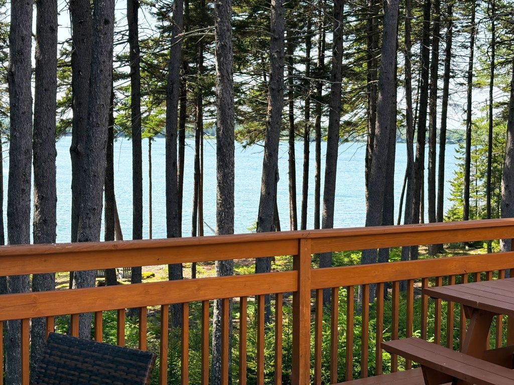Thundermist Cove