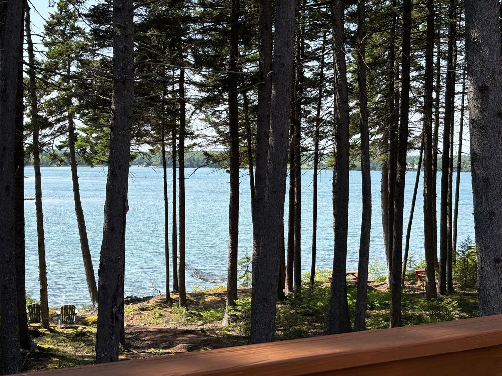 Thundermist Cove
