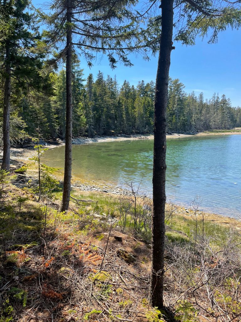Thundermist Cove