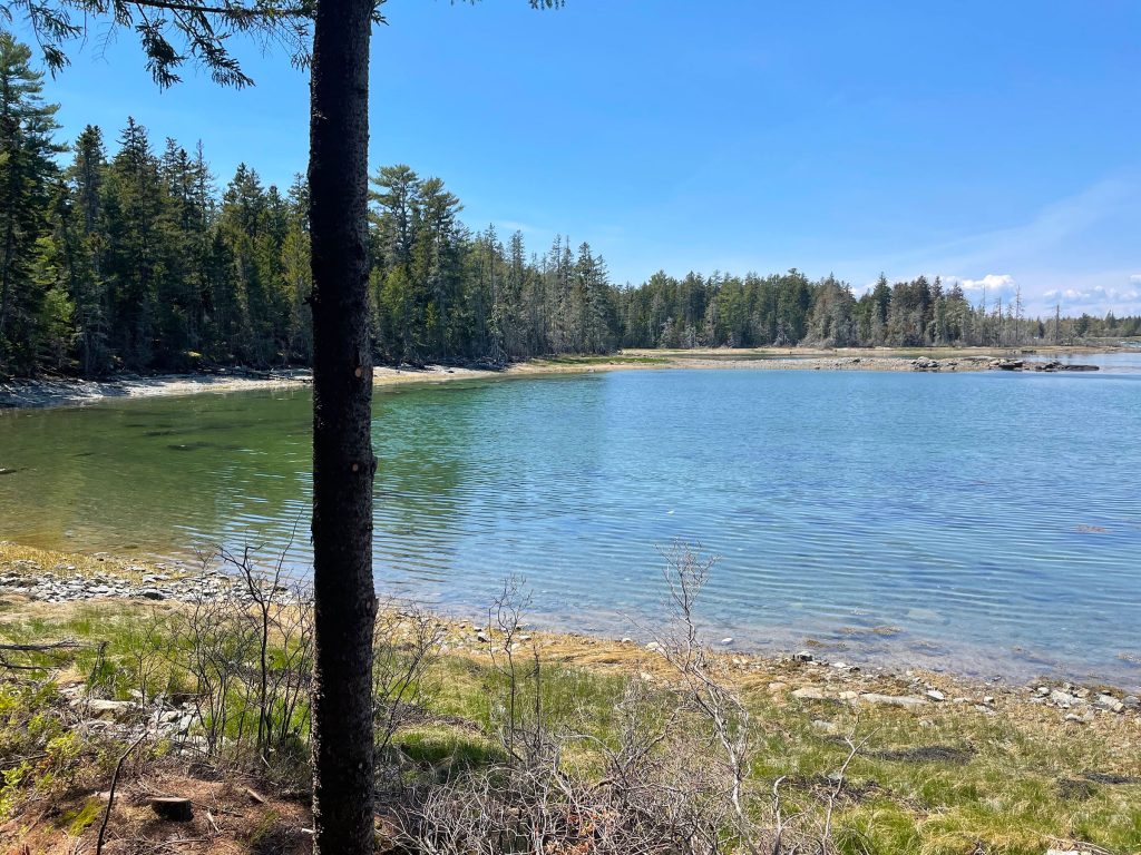 Thundermist Cove