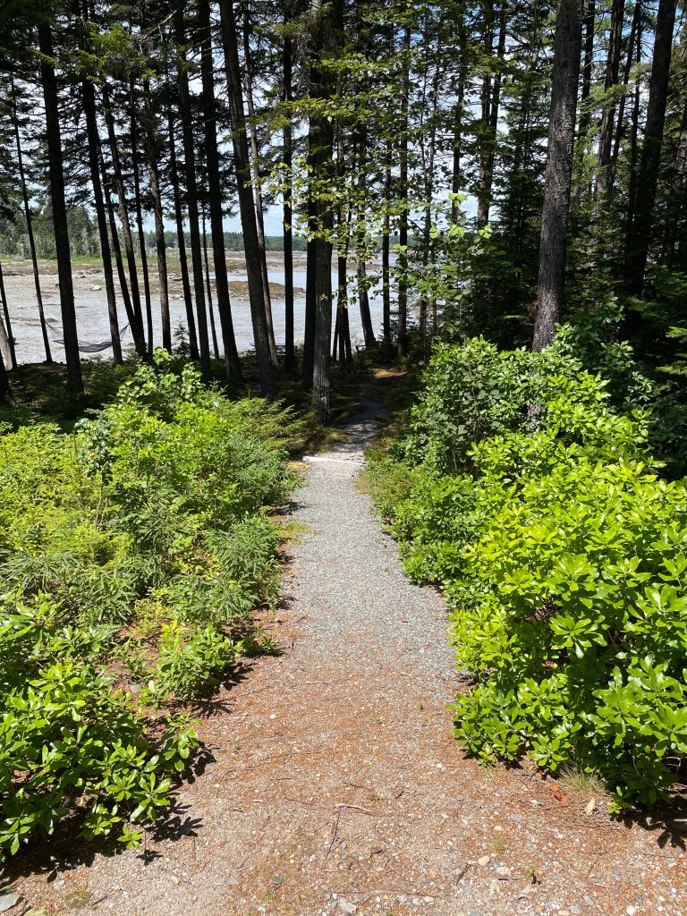 Thundermist Cove