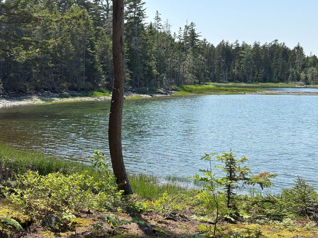 Thundermist Cove