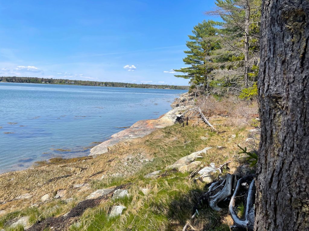 Thundermist Cove