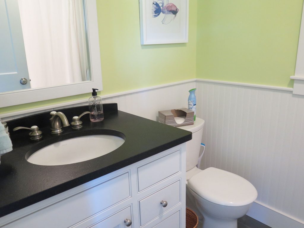 First floor bathroom (tub/shower)
