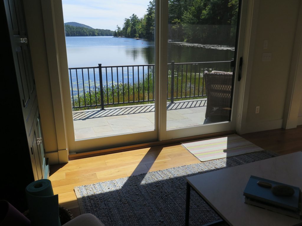 View from den