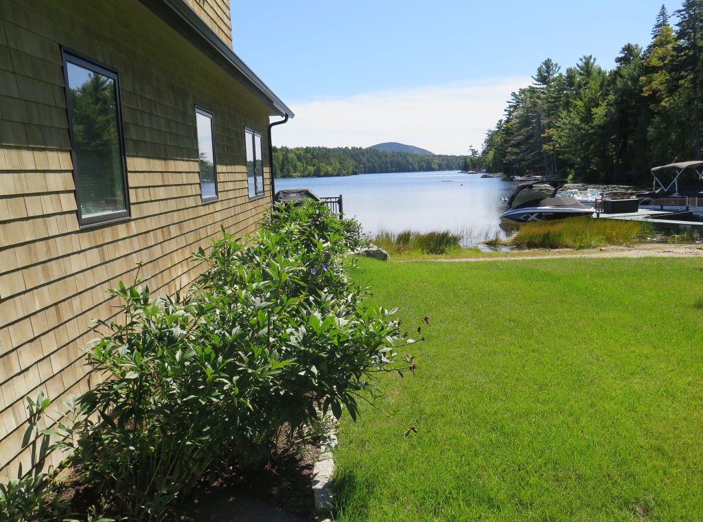 Side of cottage/yard
