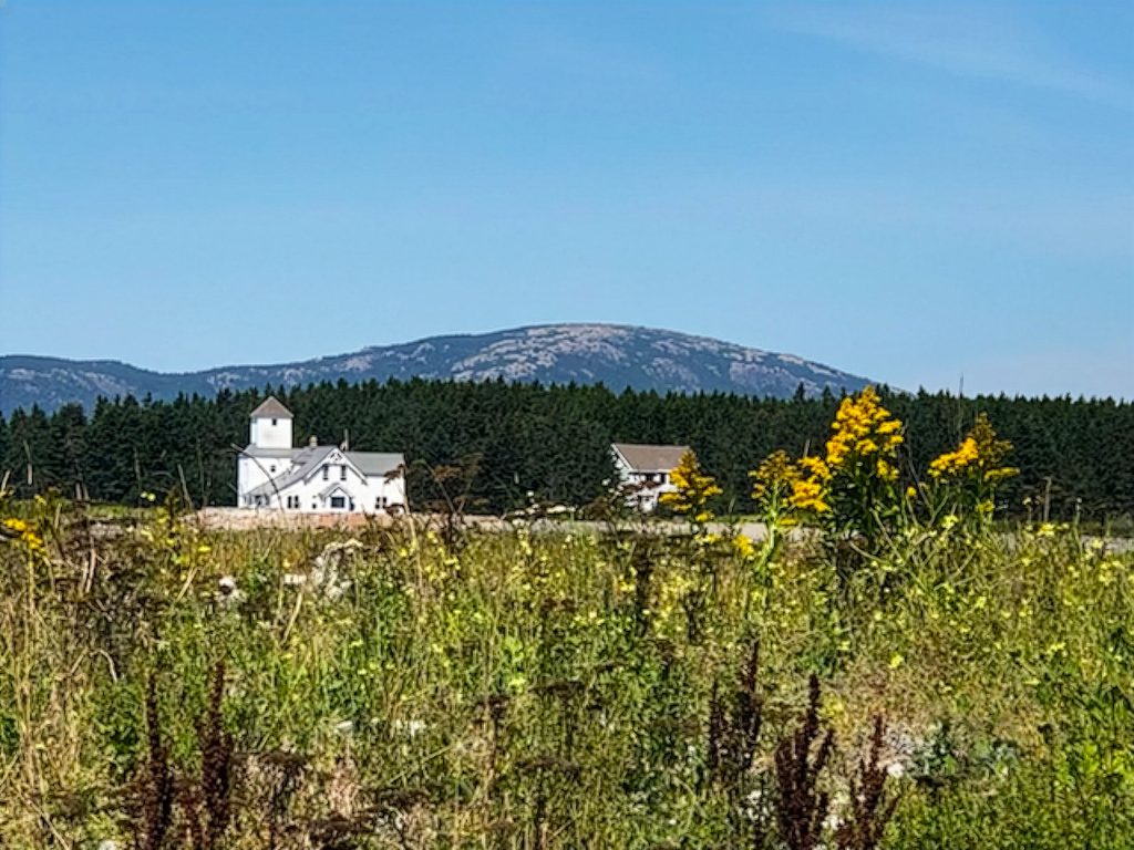 The Station