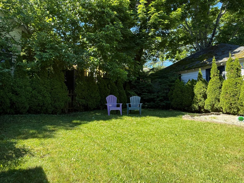 Webster’s Place