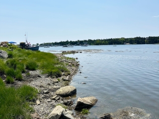The Fisherman's Cape