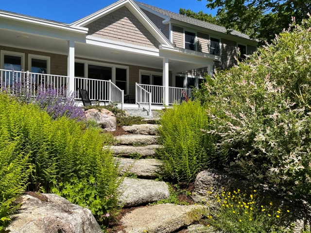 Yard