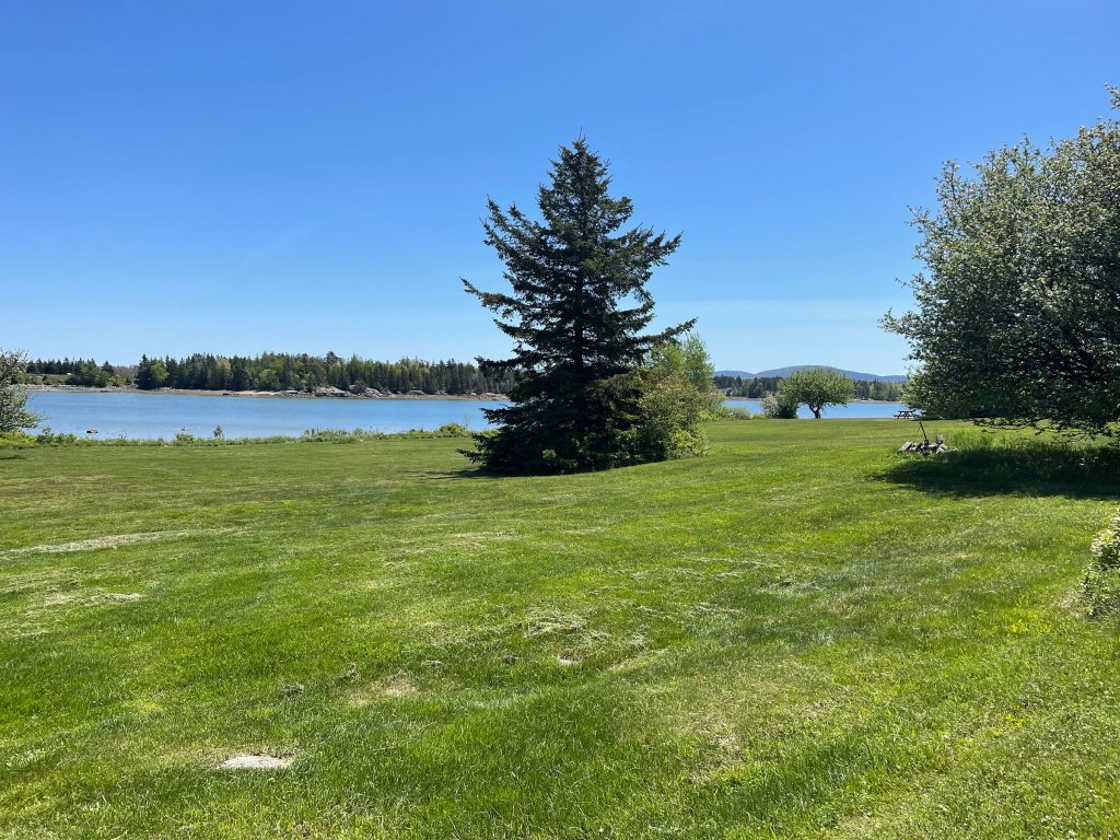 Majestic Point &mdash; yard