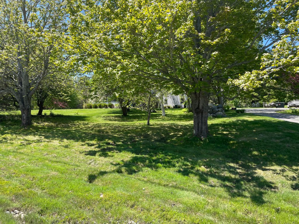 Majestic Point &mdash; yard