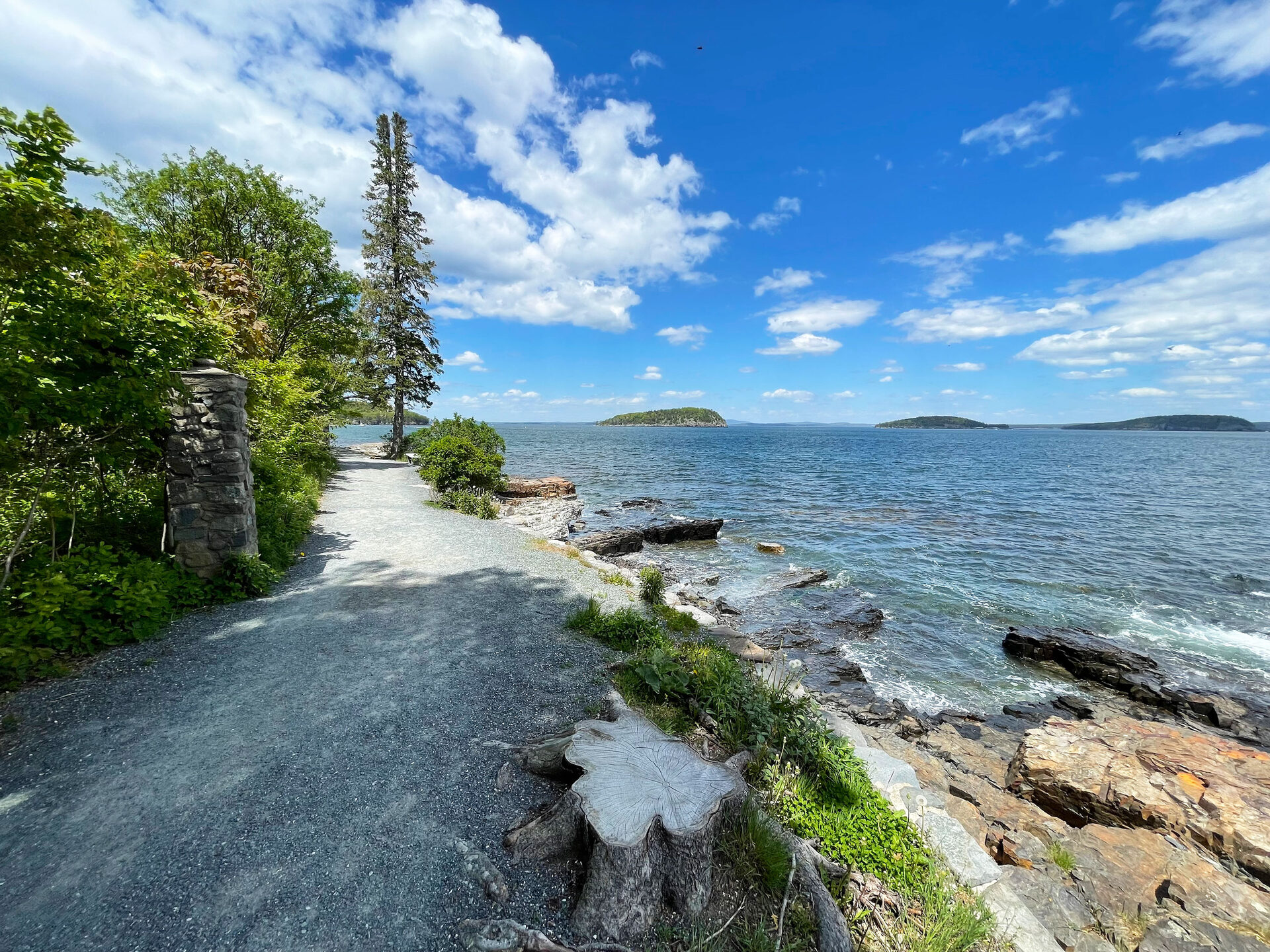 The Shore Path in Bar Harbor
