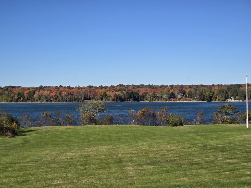 Great color in the fall with the changing leaves!