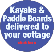 Kayak and Paddleboard Rentals